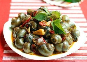 淄博膠東鹵水與海鮮培訓(xùn)公司 費(fèi)用與聯(lián)系方式全解析